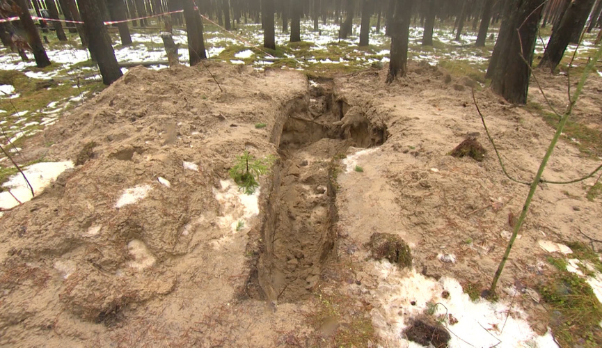 Ленинград облысы, Стрельна қаласындағы жезөкшелер