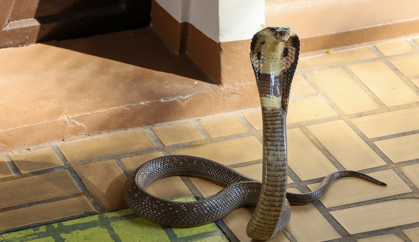 жас модельдердің порнофотосуреттері