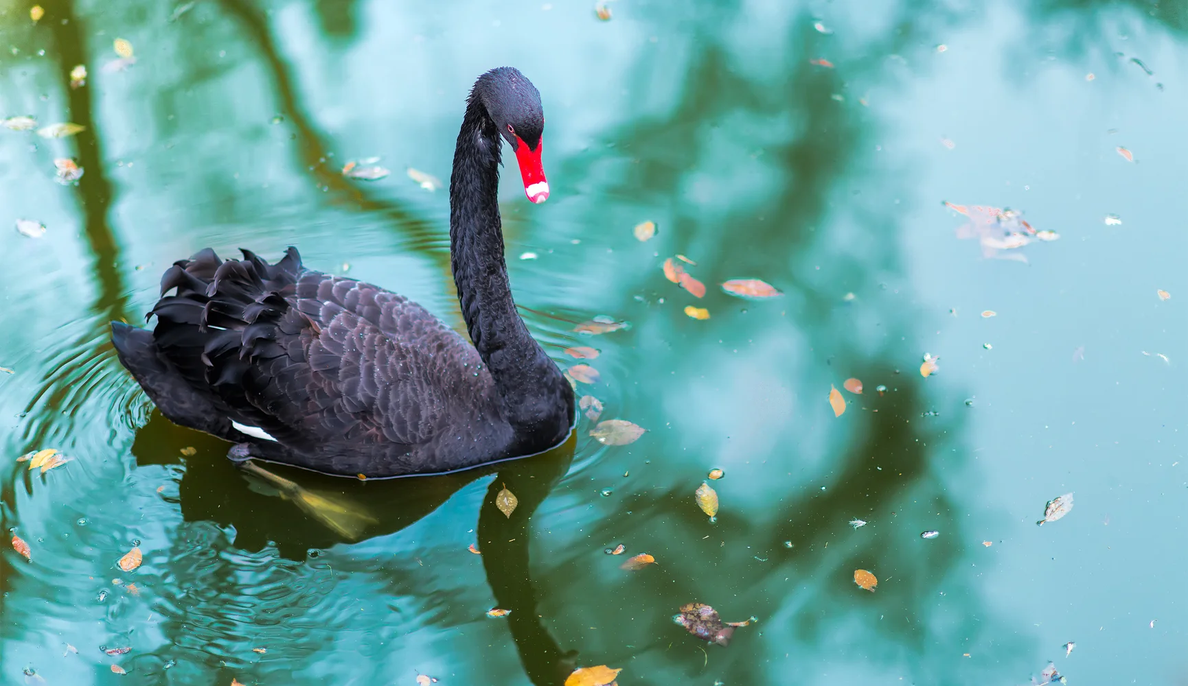 Уфадағы секс үшін қыз